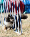 20160618-cckc-1749