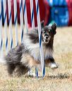 20160618-cckc-1753