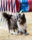 20160618-cckc-1754
