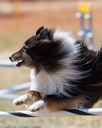 20160618-cckc-1756