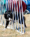 20160618-cckc-1760