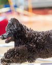 20160618-cckc-1778
