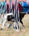 20160618-cckc-1787