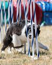 20160618-cckc-1789
