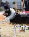 20160618-cckc-1818
