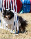 20160618-cckc-1822