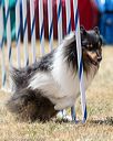 20160618-cckc-1825