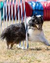 20160618-cckc-1826