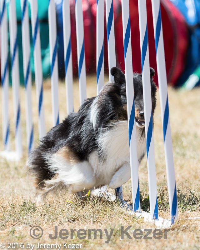 20160618-cckc-1683.jpg