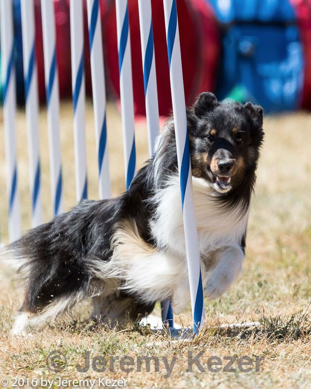 20160618-cckc-1688.jpg
