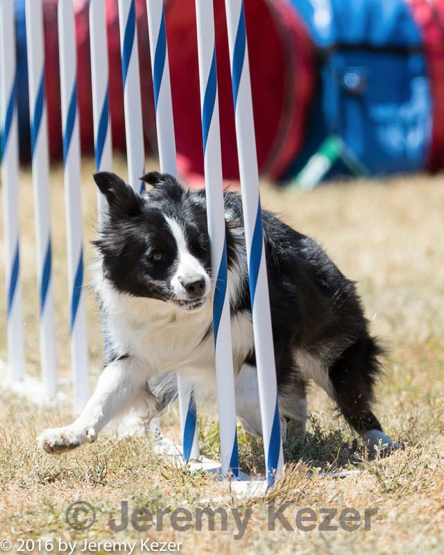 20160618-cckc-1699.jpg