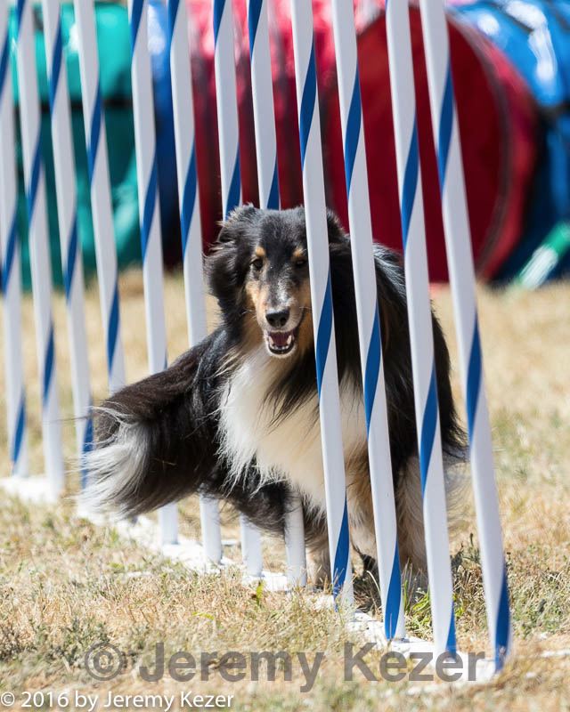 20160618-cckc-1710.jpg