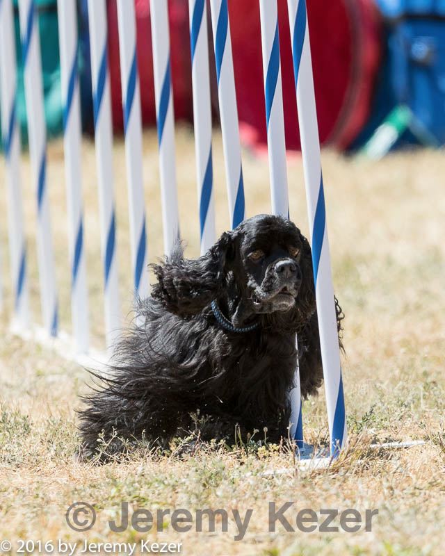 20160618-cckc-1726.jpg