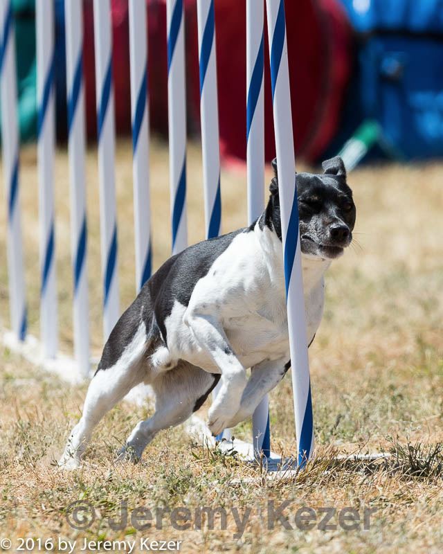 20160618-cckc-1736.jpg