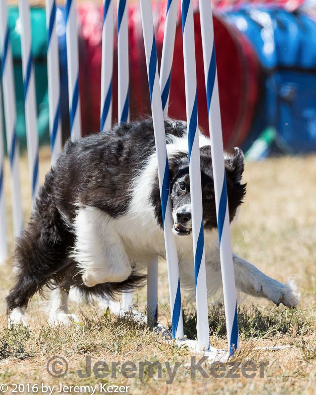20160618-cckc-1789.jpg