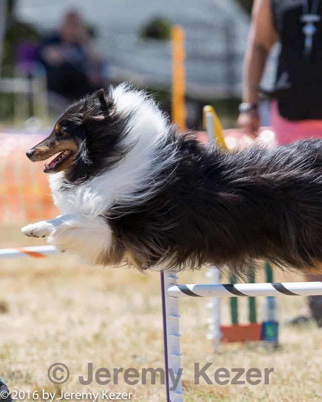 20160618-cckc-1818.jpg
