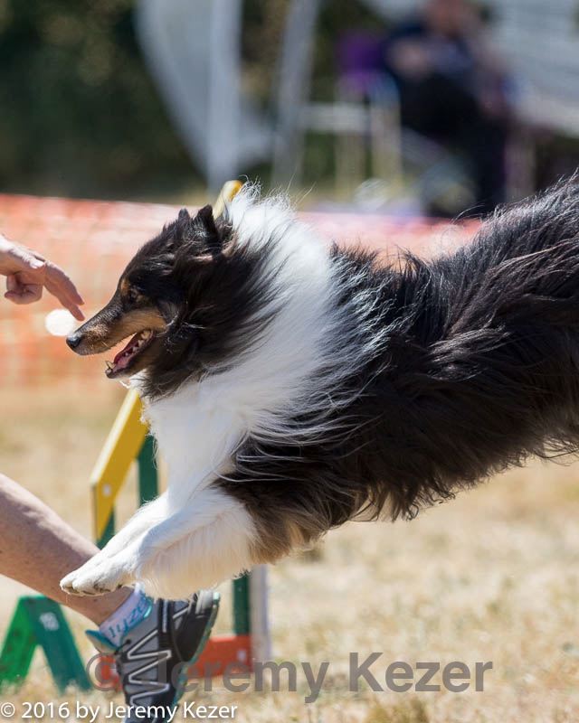 20160618-cckc-1819.jpg