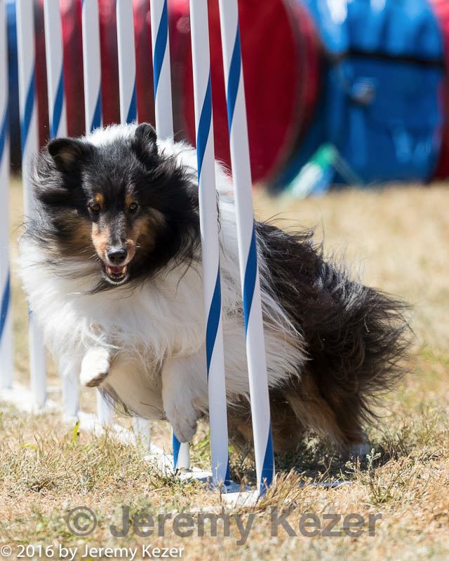 20160618-cckc-1822.jpg