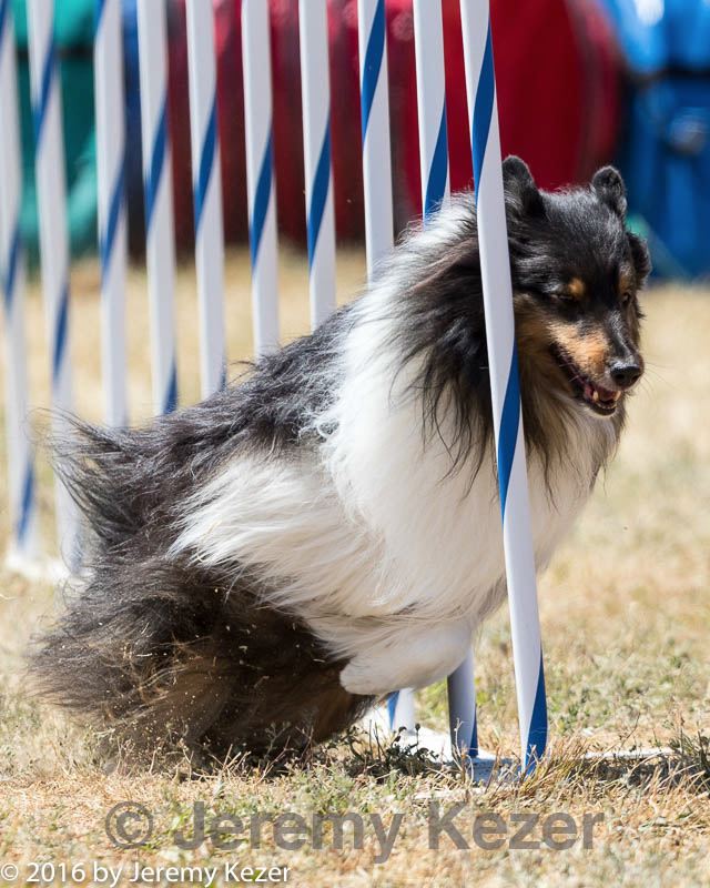 20160618-cckc-1825.jpg