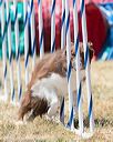 20160618-cckc-1277