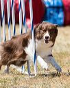 20160618-cckc-1281