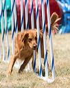 20160618-cckc-1292