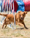 20160618-cckc-1297