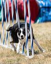 20160618-cckc-1308