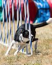 20160618-cckc-1310