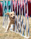 20160618-cckc-1319