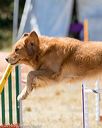 20160618-cckc-1333