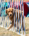 20160618-cckc-1338