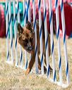 20160618-cckc-1352