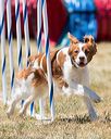 20160618-cckc-1370
