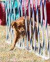 20160618-cckc-1379
