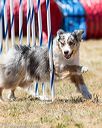 20160618-cckc-1396