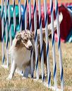 20160618-cckc-1405
