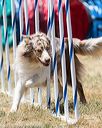20160618-cckc-1408