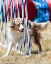 20160618-cckc-1410