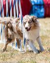 20160618-cckc-1411