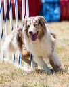 20160618-cckc-1412