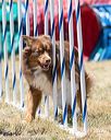 20160618-cckc-1419