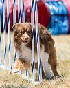 20160618-cckc-1421