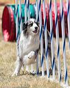 20160618-cckc-1431