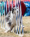 20160618-cckc-1435