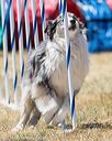 20160618-cckc-1438
