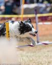 20160618-cckc-1444