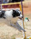 20160618-cckc-1445