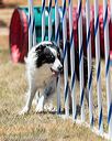20160618-cckc-1448