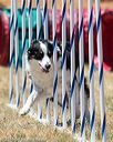 20160618-cckc-1449